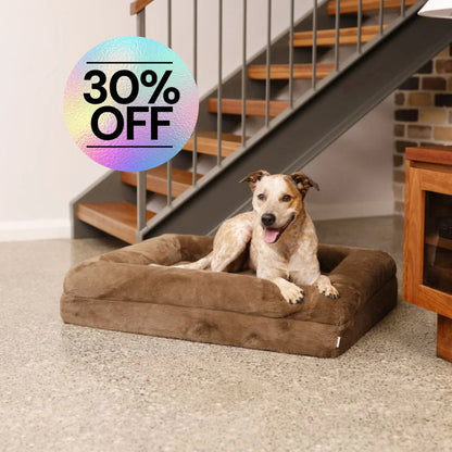 Memory Foam Dog Bed - Faux Fur Chocolate