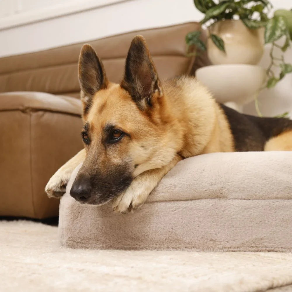 Memory Foam Dog Bed - Faux Fur Pearl