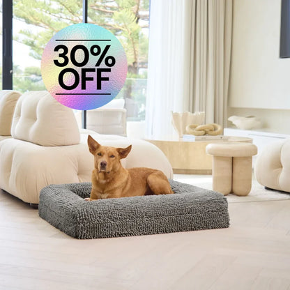 Memory Foam Dog Bed - Noodle Charcoal Grey