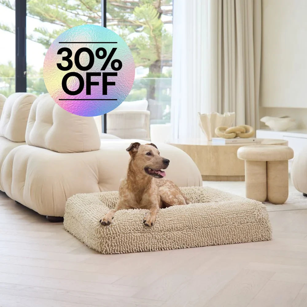 Memory Foam Dog Bed - Noodle Ivory