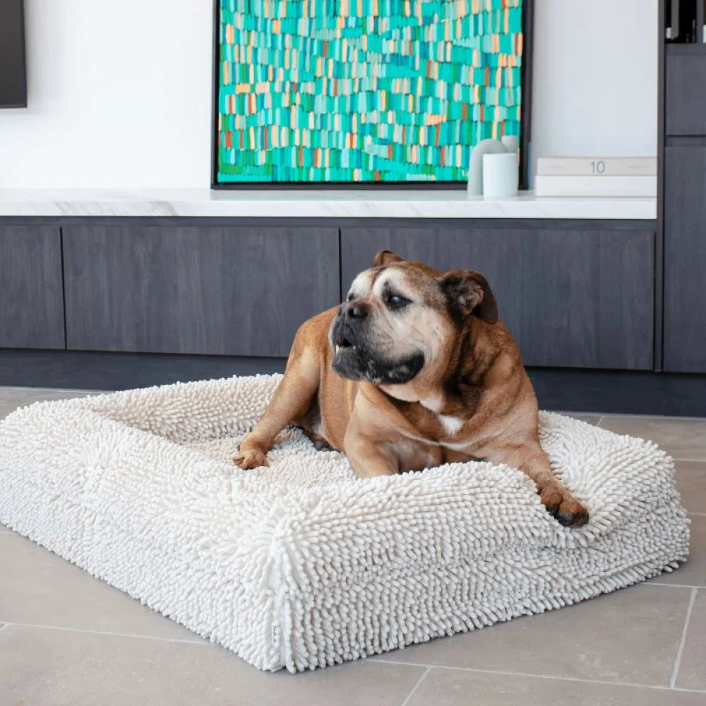Memory Foam Dog Bed - Noodle Ivory