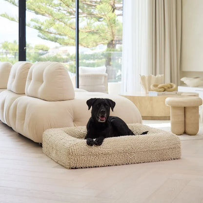 Memory Foam Dog Bed - Noodle Ivory