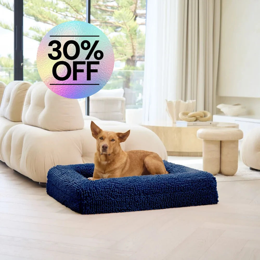 Memory Foam Dog Bed - Noodle Midnight Blue