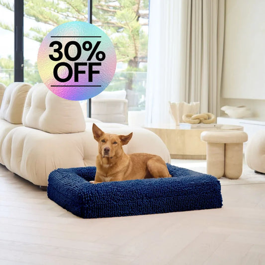 Memory Foam Dog Bed - Noodle Midnight Blue