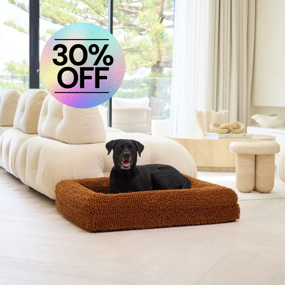 Memory Foam Dog Bed - Noodle Rust