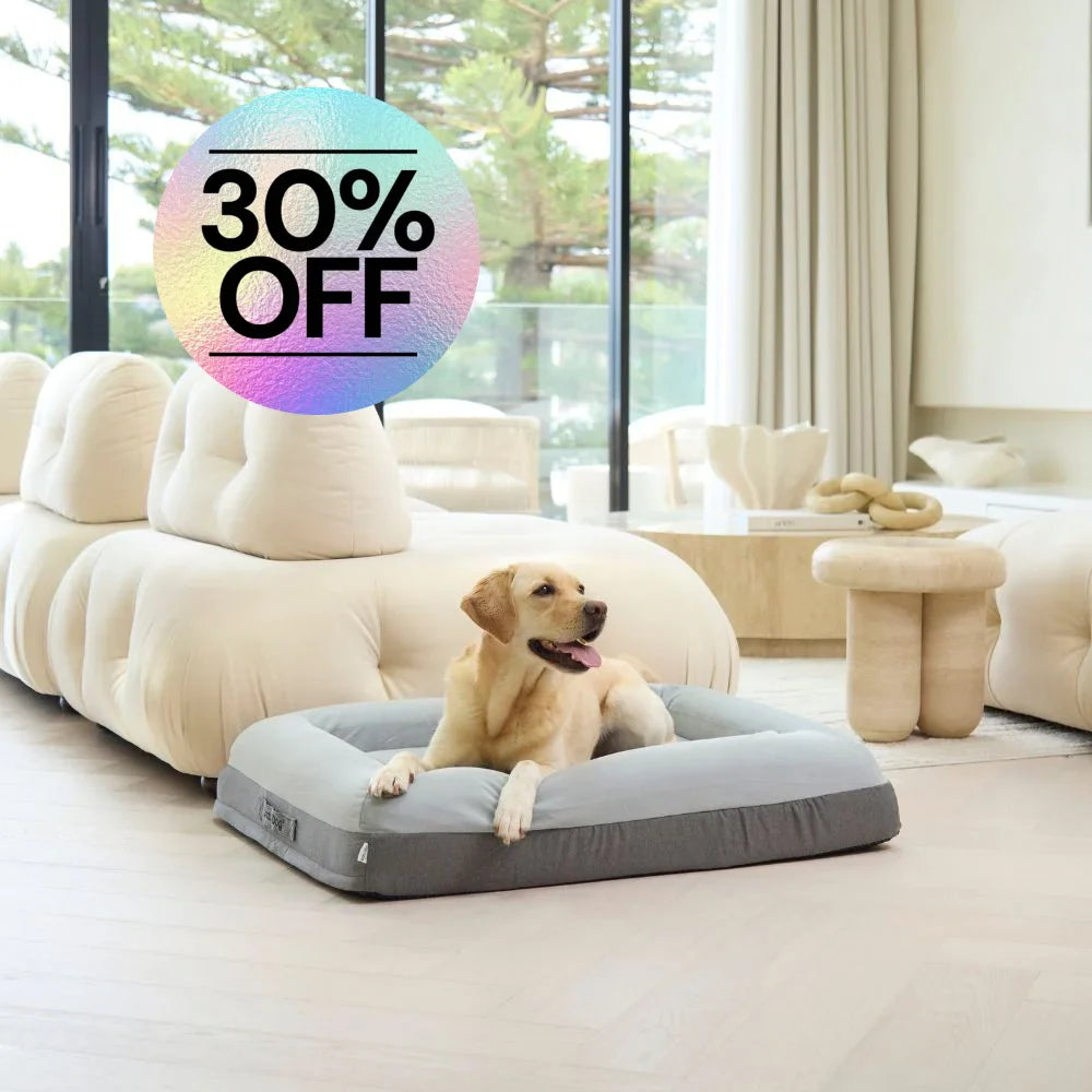 Memory Foam Dog Bed - Plush Grey