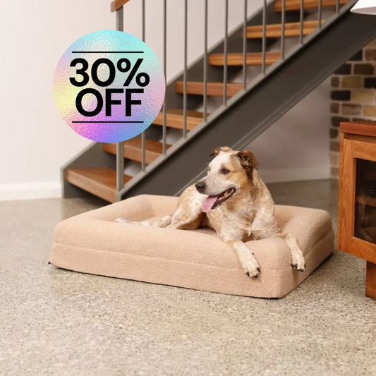 Memory Foam Dog Bed - Polar Fleece Clay