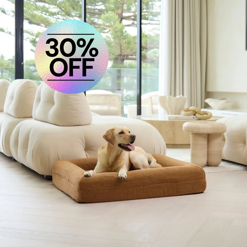 Memory Foam Dog Bed - Polar Fleece Golden Brown