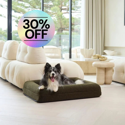 Memory Foam Dog Bed - Polar Fleece Olive