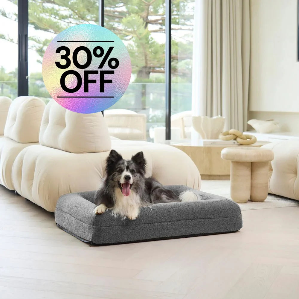 Memory Foam Dog Bed - Polar Fleece Salt Grey