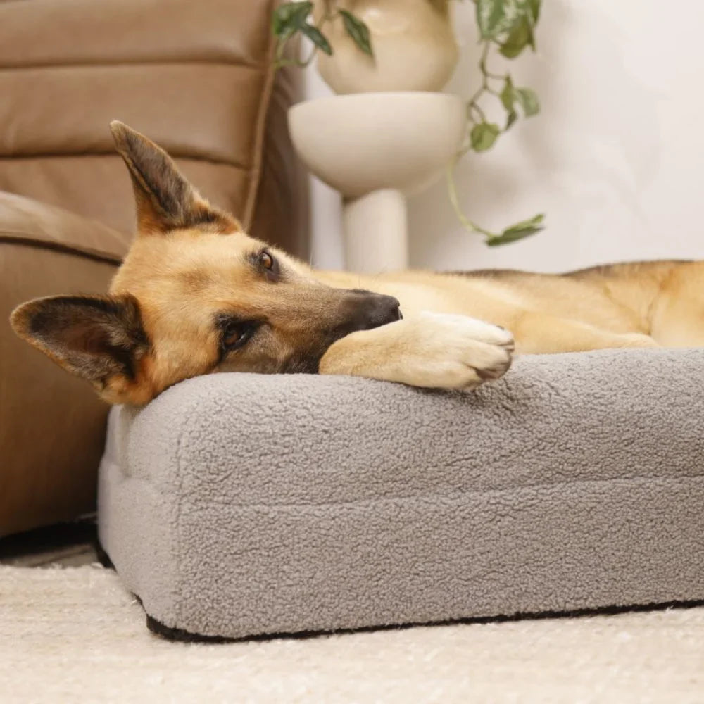 Memory Foam Dog Bed - Polar Fleece Salt Grey