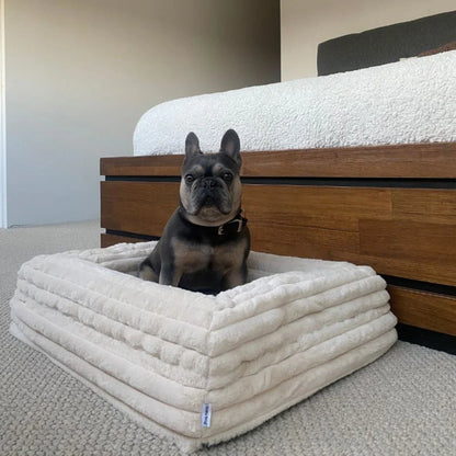 MEMORY FOAM DOG BED - PUFFER BONE
