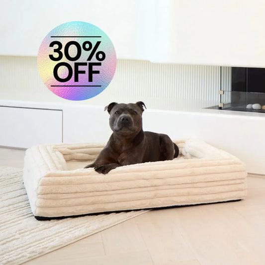 MEMORY FOAM DOG BED - PUFFER BONE