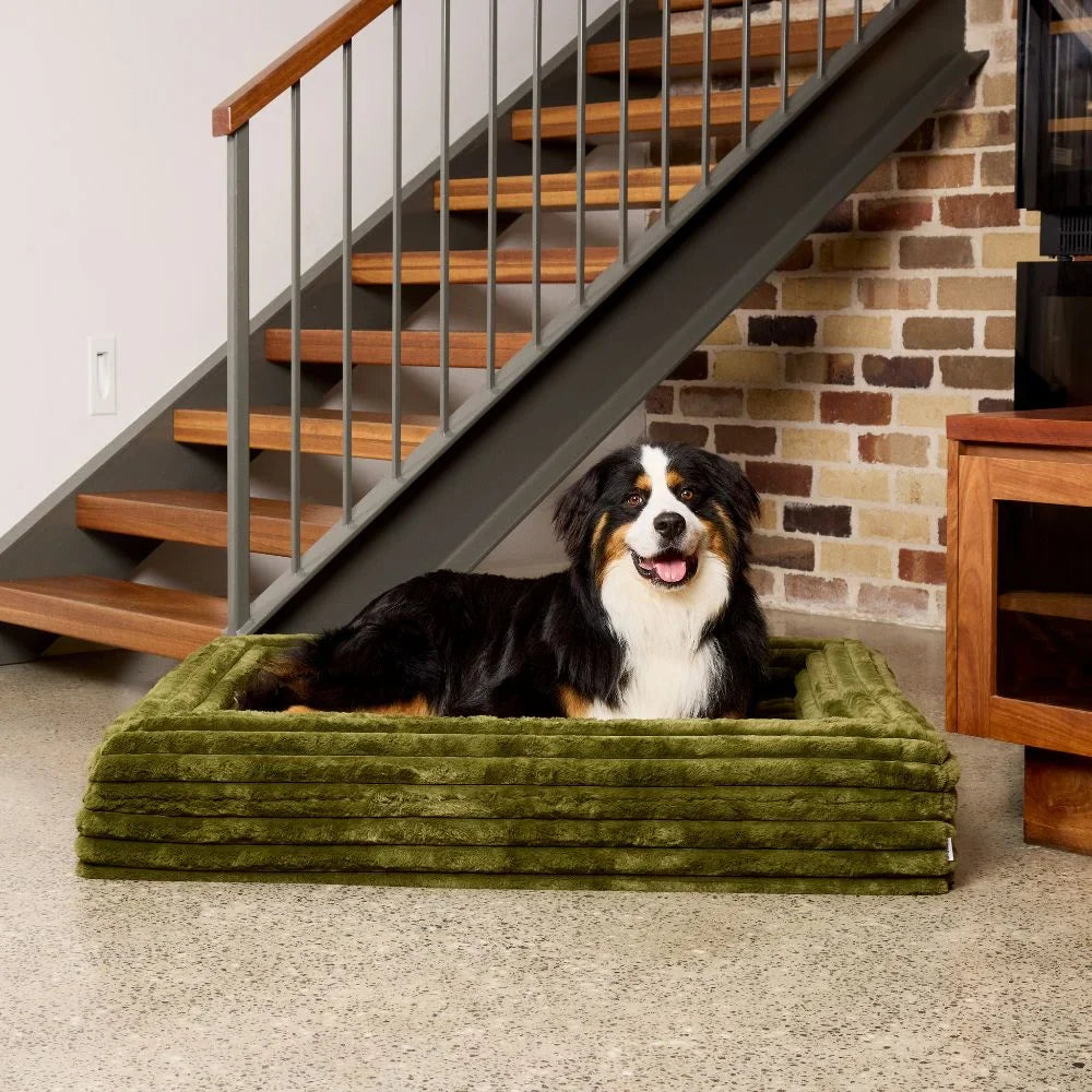 Memory Foam Dog Bed - Puffer Fern