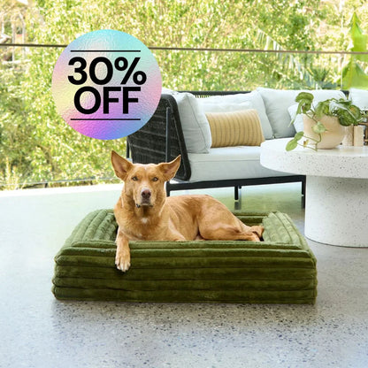 Memory Foam Dog Bed - Puffer Fern S Puffer