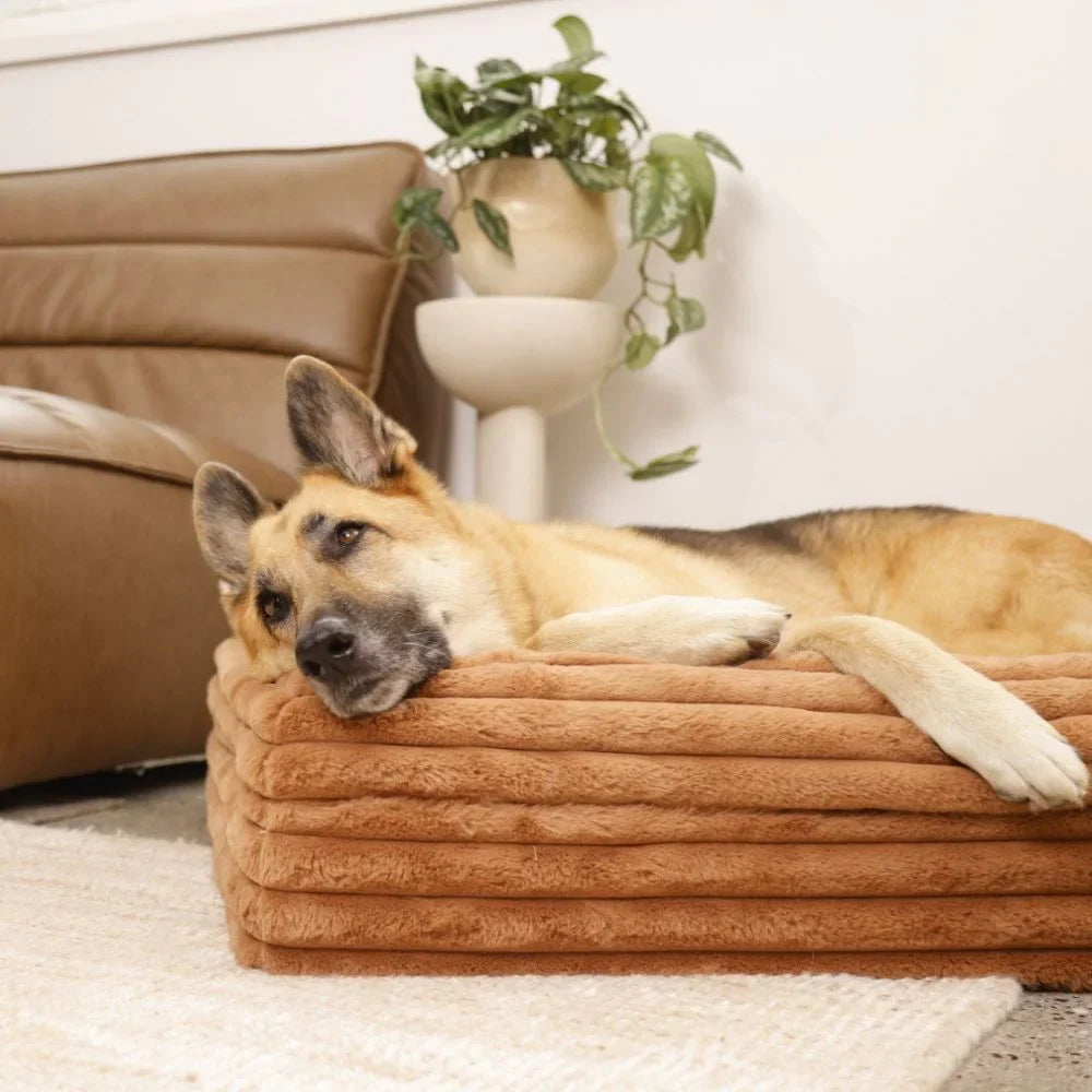 Memory Foam Dog Bed - Puffer Nutmeg