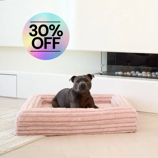 Memory Foam Dog Bed - Puffer Rosewater