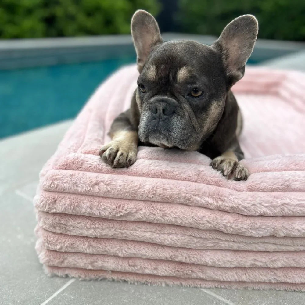 Memory Foam Dog Bed - Puffer Rosewater