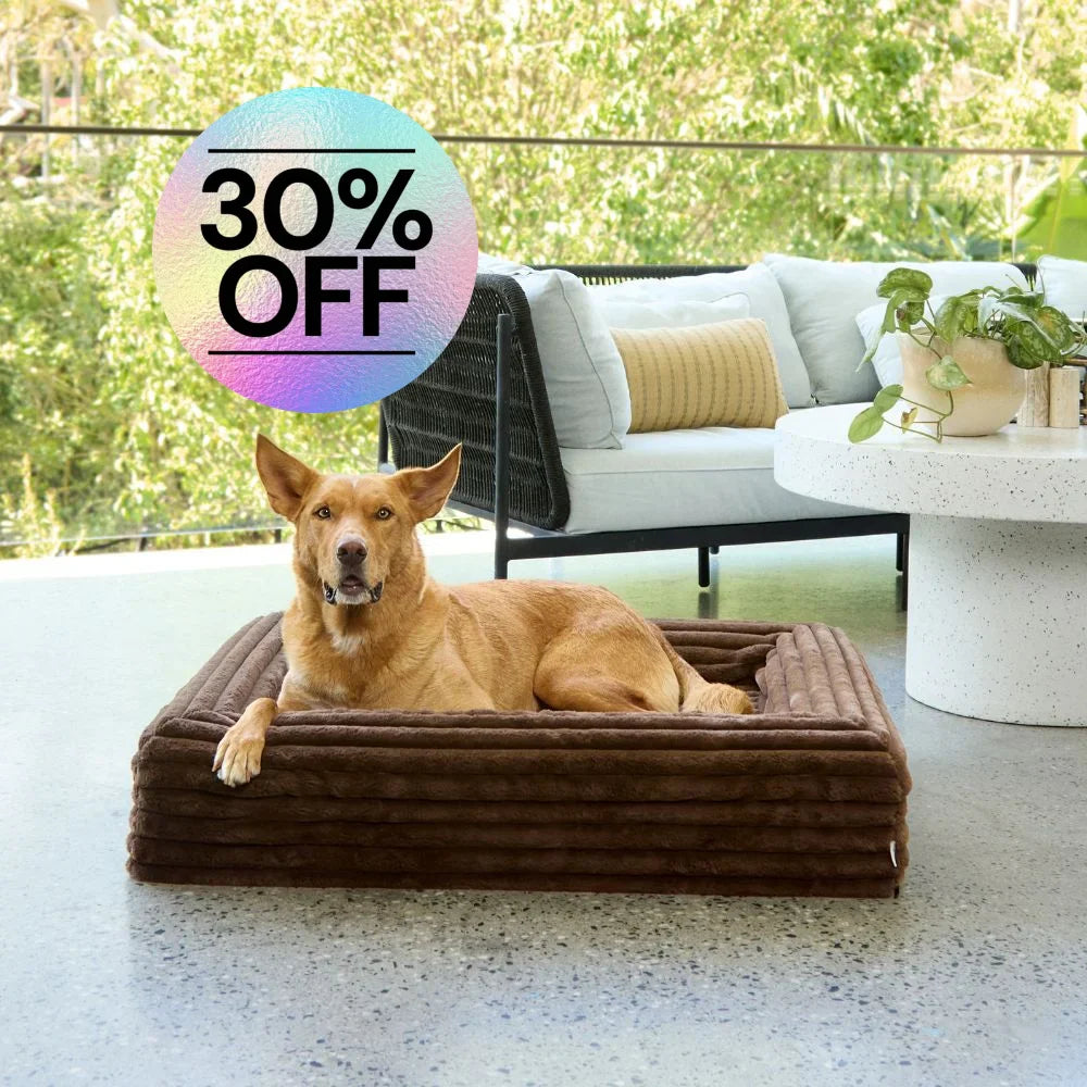 Memory Foam Dog Bed - Puffer Truffle S Puffer