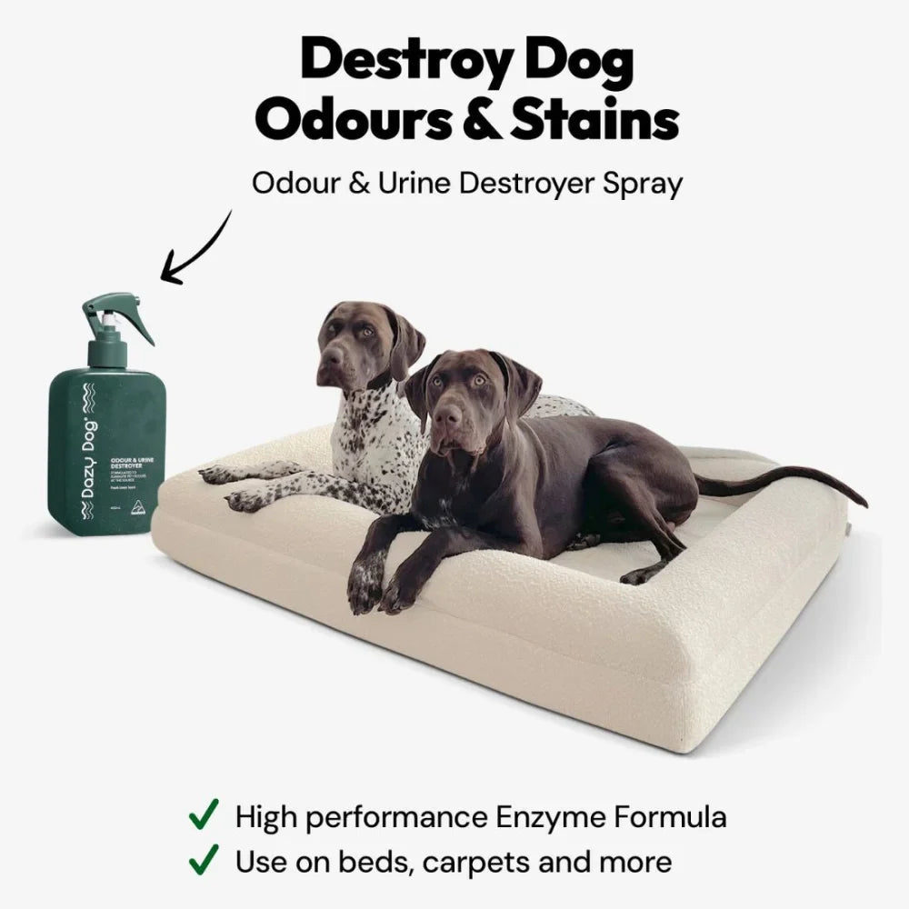 Odour & Urine Destroyer