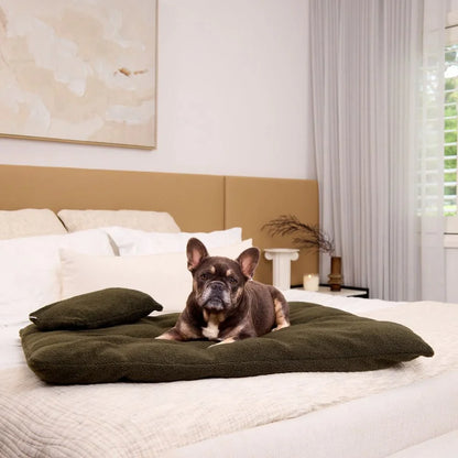 Polar Fleece Pillow - Olive