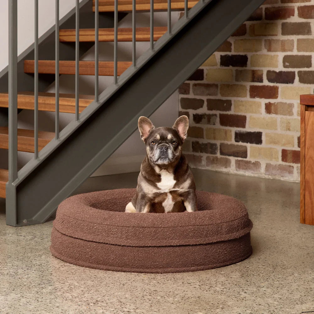 [PRESALE] Round Orthopaedic Dog Bed