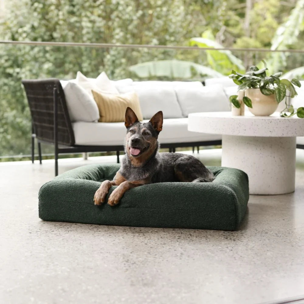 Quick Cover - Boucle Forest Green