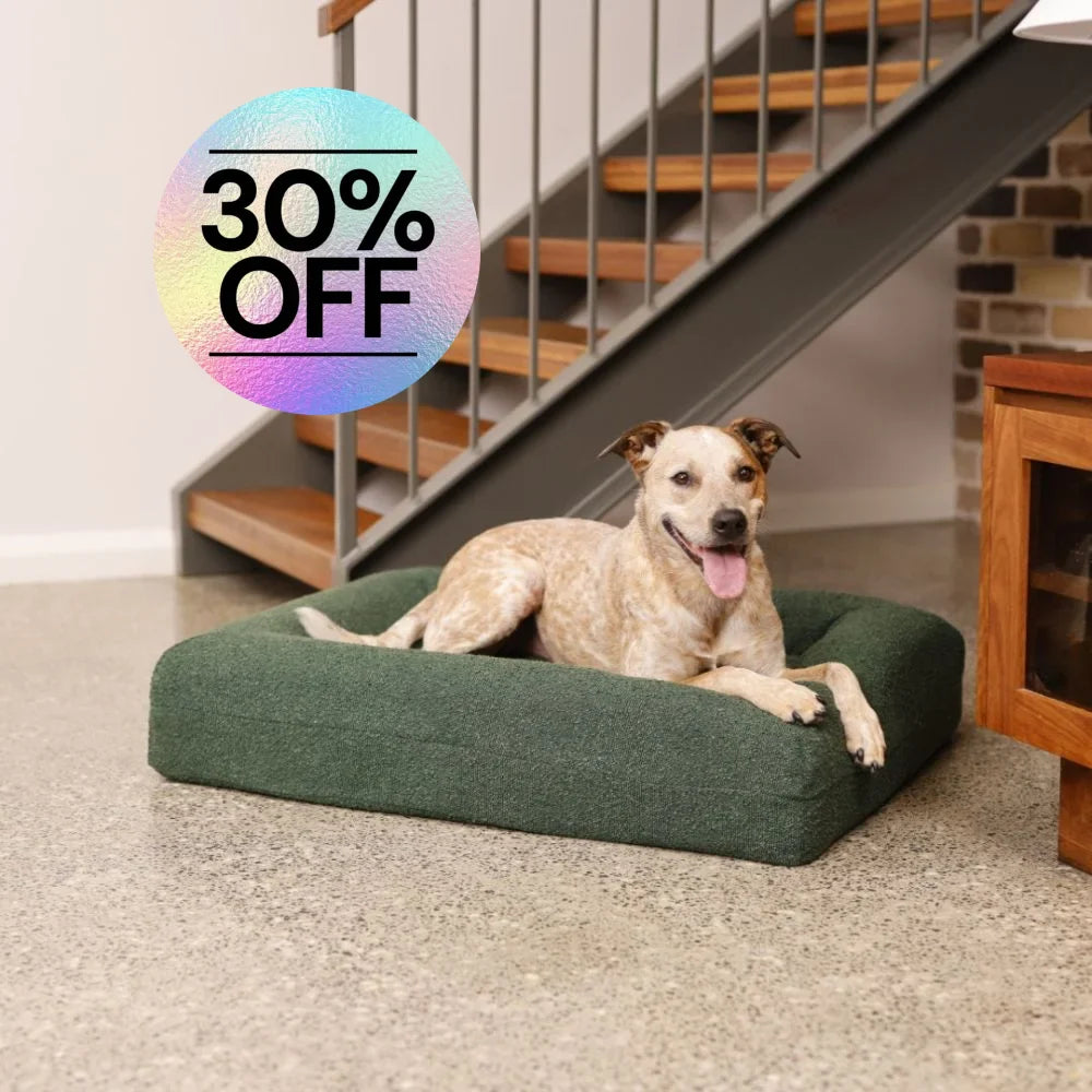 Quick Cover - Boucle Forest Green