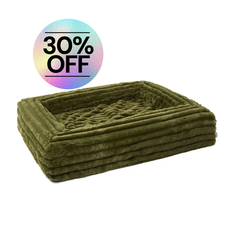 Quick Cover - Puffer Fern