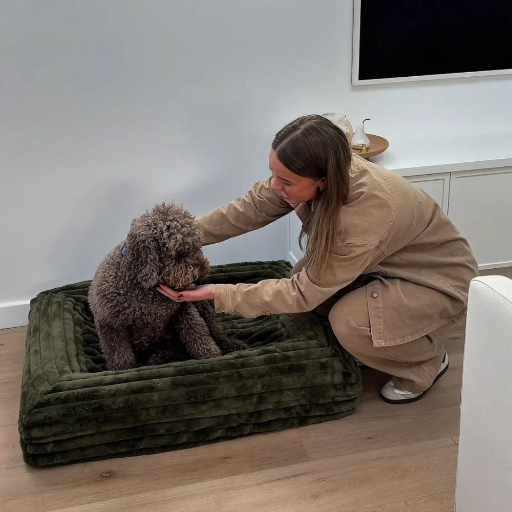 Quick Cover - Puffer Fern