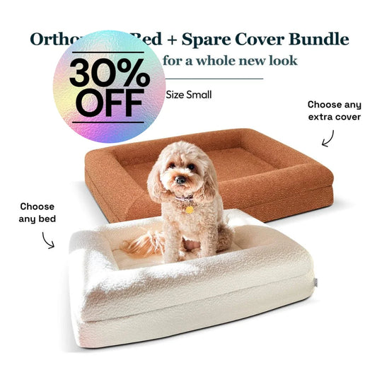 Small Bed with Extra Cover Bundle