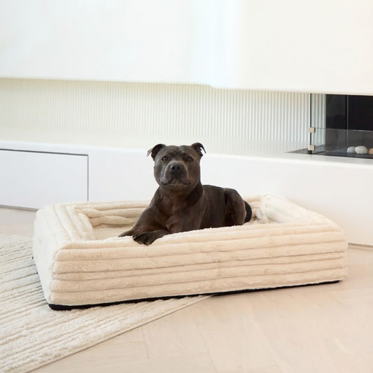 MEMORY FOAM DOG BED - PUFFER BONE