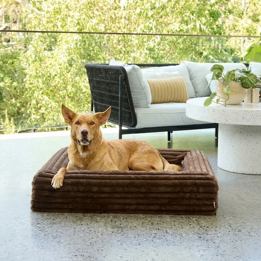 Memory Foam Dog Bed - Puffer Truffle